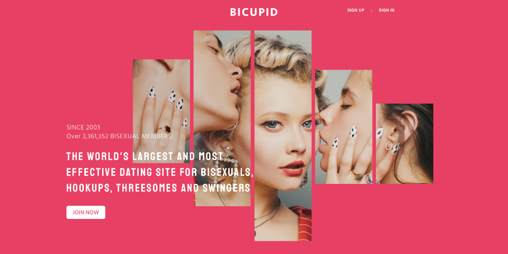 BiCupid.com